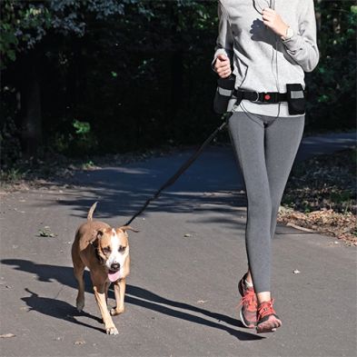 Goo-Eez - Bungee Belt &amp; Leash