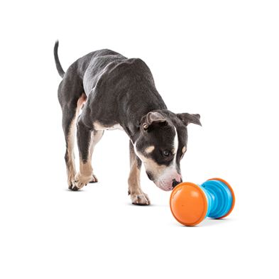 Guru - Treat Dispensing Toy "Bouncer"