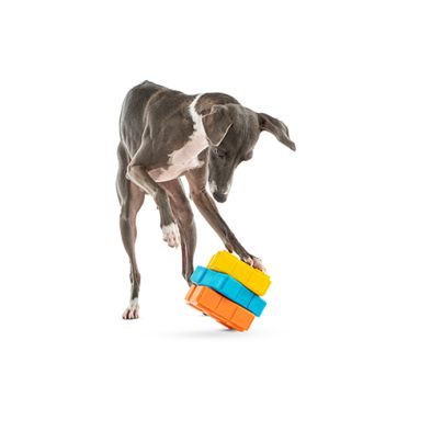 Guru - Dog treat dispenser toy "DogXcube"