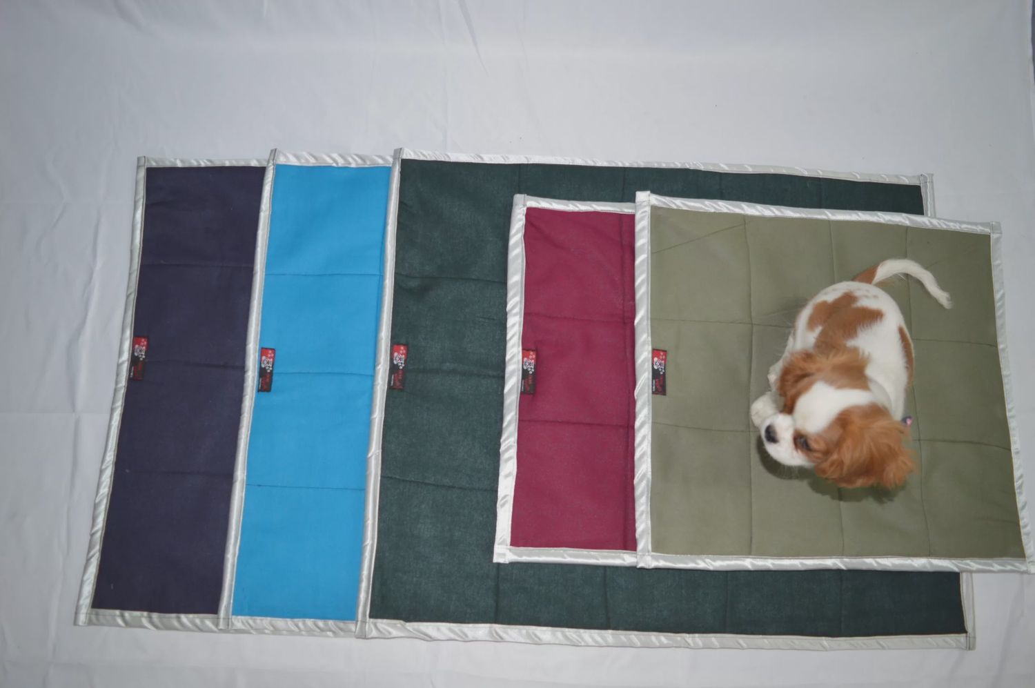 Daba-Doo - Washable &amp; Dryable Cleanliness Mats, Various Colors, taille: Petit