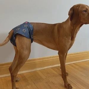 Daba-Doo - Hygienic Panties for Female Dogs