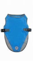 Canada Pooch - Chill Seeker Cooling Vest Aqua 10, taille: 10