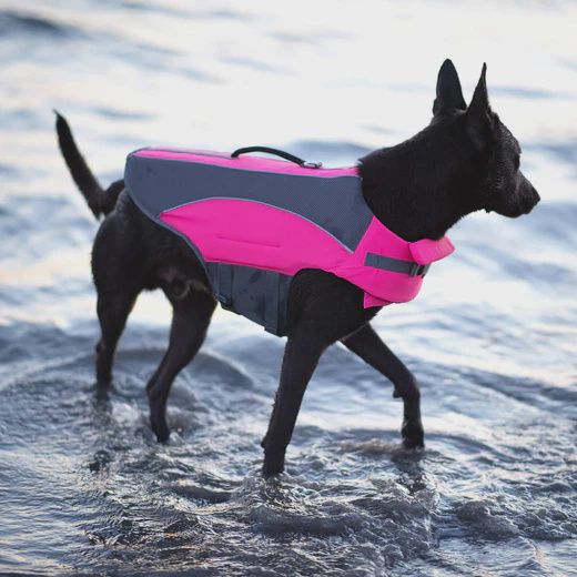 Canada Pooch - Life Jacket, Wave Rider, Pink, XS