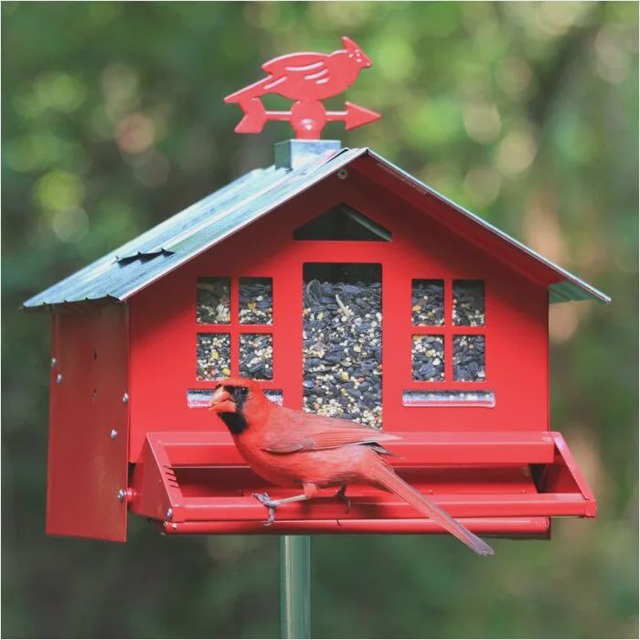 Perky-Pet - Mangeoire pour oiseaux sauvages, Squirrel-Be-Gone, Campagnard rouge