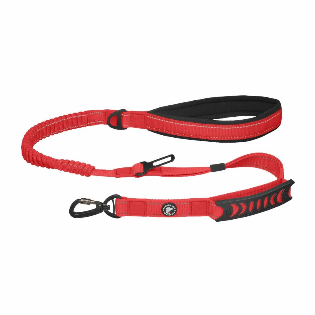 Le Bon Chien - Laisse bungee multifonction avec attache pour la voiture