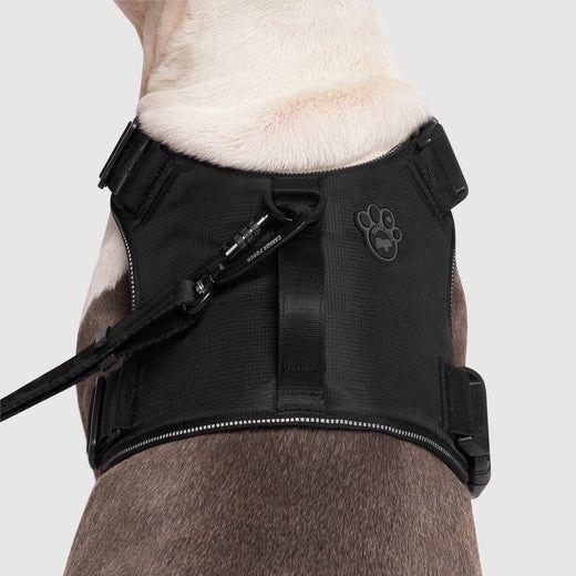 Canada Pooch - Complete Control Harness, couleur: Noir, taille: S