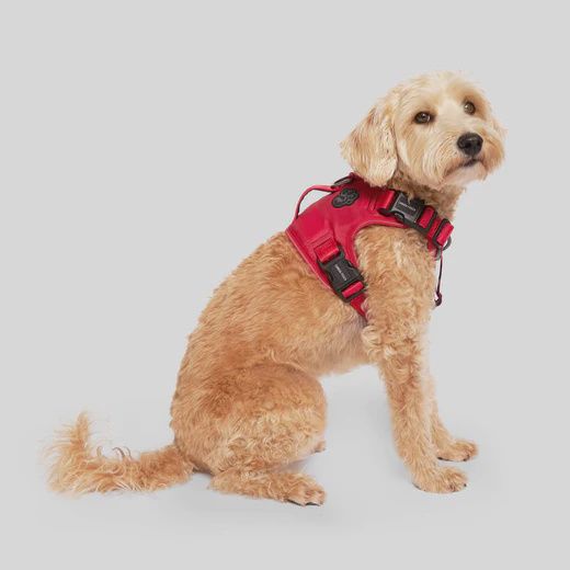 Canada Pooch - Complete Control Harness