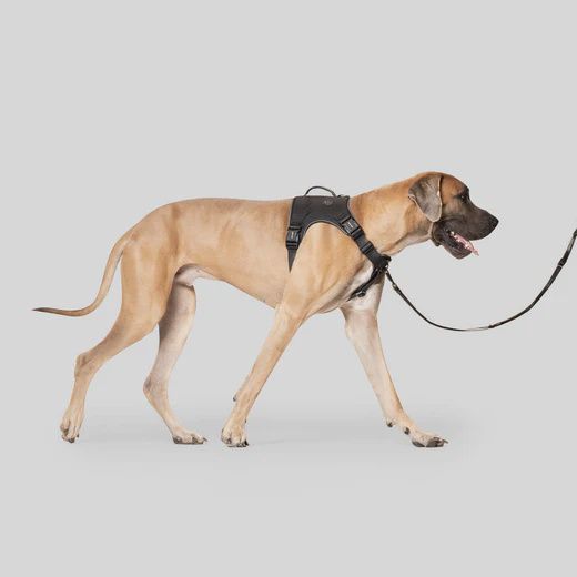 Canada Pooch - Complete Control Harness
