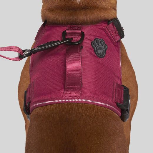 Canada Pooch - Complete Control Harness