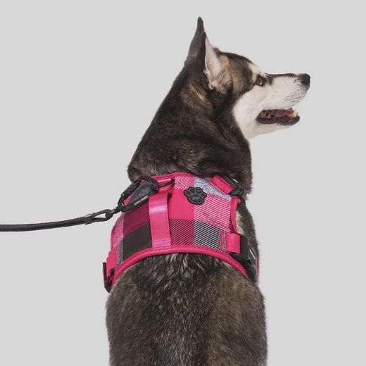 Canada Pooch - Complete Control Harness