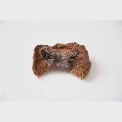 Vrac pour chien - Nez de boeuf Poilu entier large