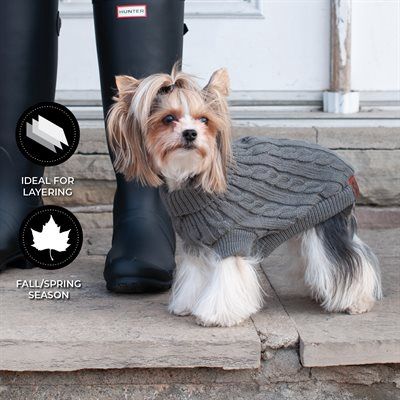 Shedrow K9 - Manteau en tricot torsadé pour chien