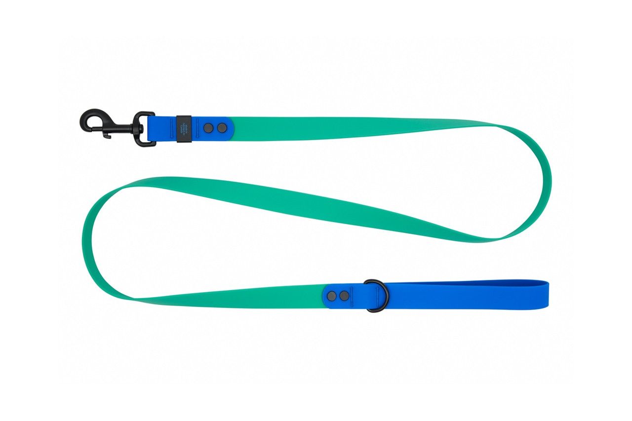 RcPets - Laisse imperméable 5&#39;