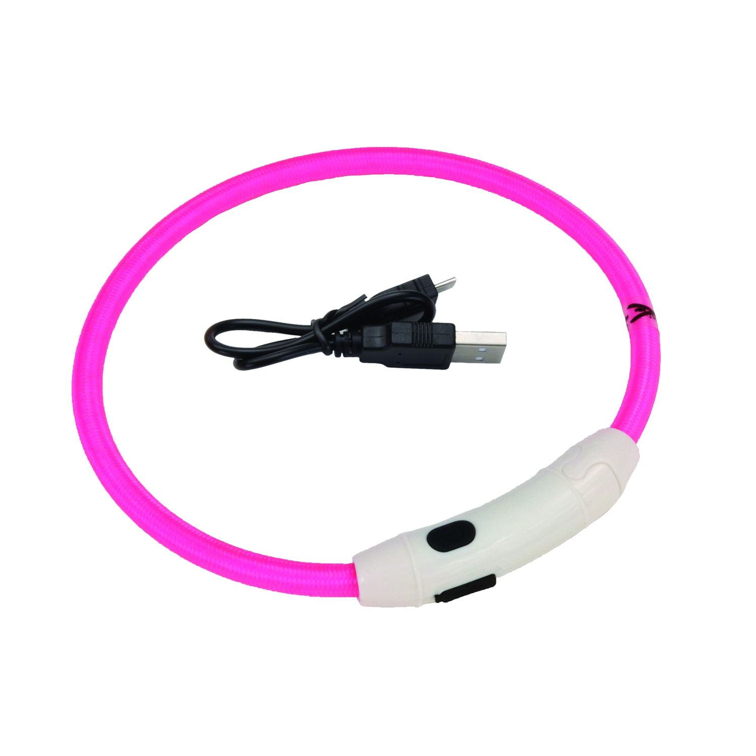 Coastal - USB Rechargeable LED Collar for Dogs