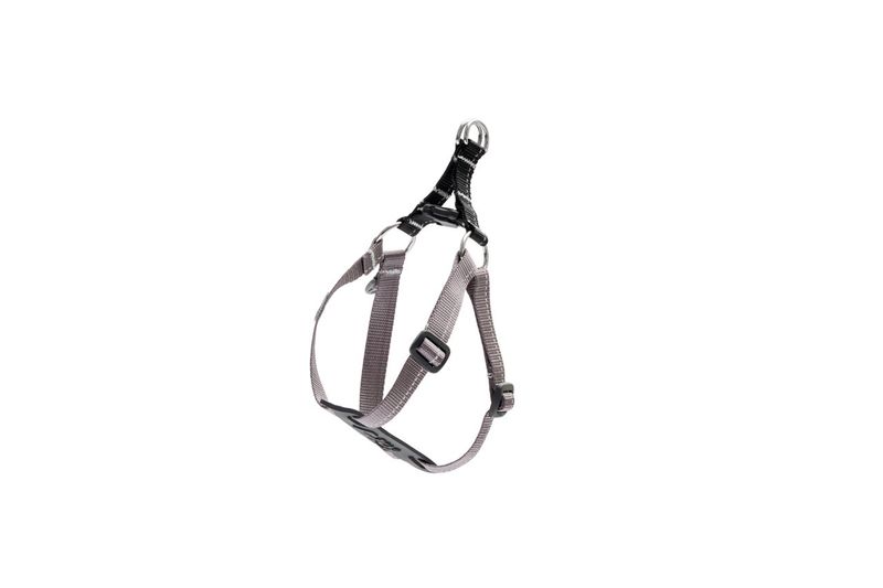 RCPets - Petite Patrouille, Harnais pour petit chien ,Step-In ajustable