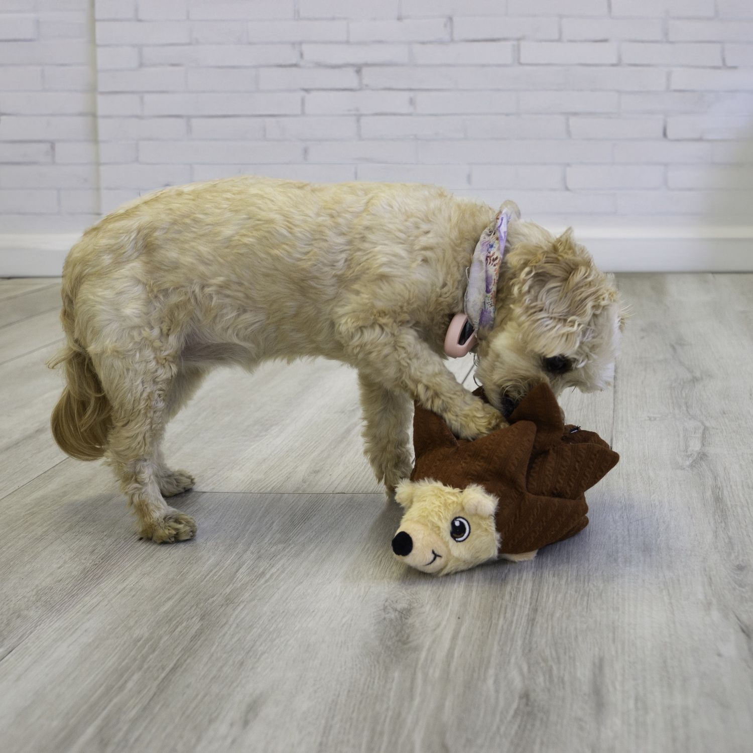 Kong - Foraging Interactive Hedgehog Toy for Dogs