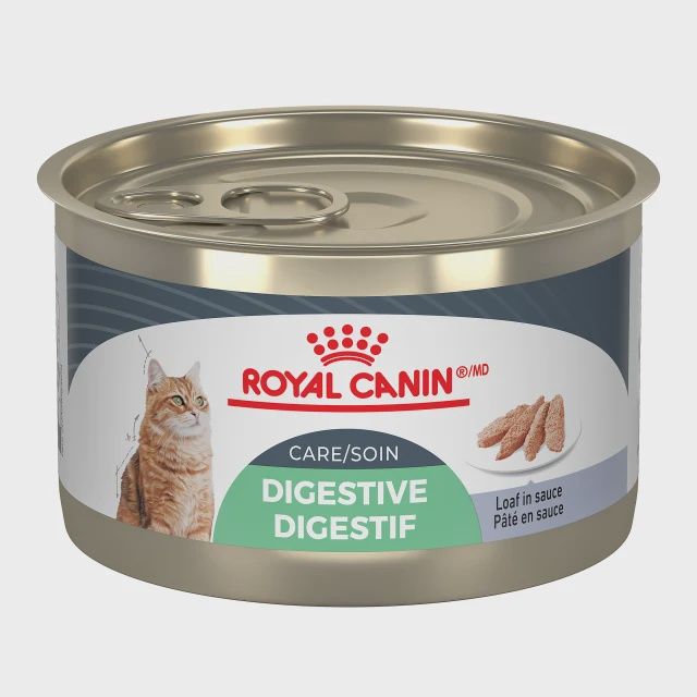 Royal Canin- Chat soin digestif pâté en sauce 5.1oz, format: 5.1oz