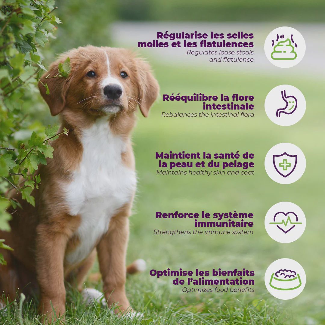 Baci +-Dental Gel buco+, enzymatic 115 g