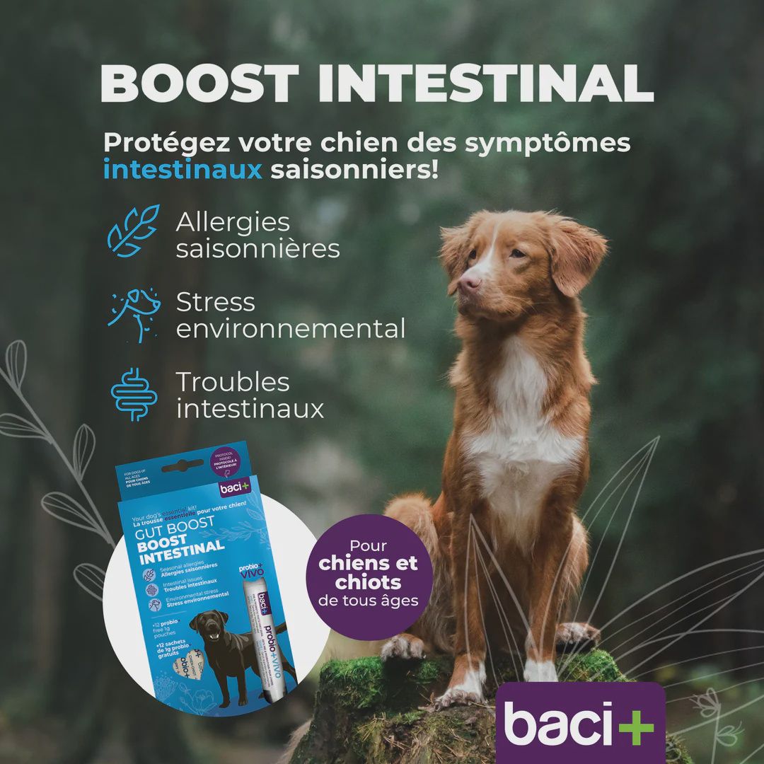 Baci +- Spring Immunity Boost Pre and Probiotics