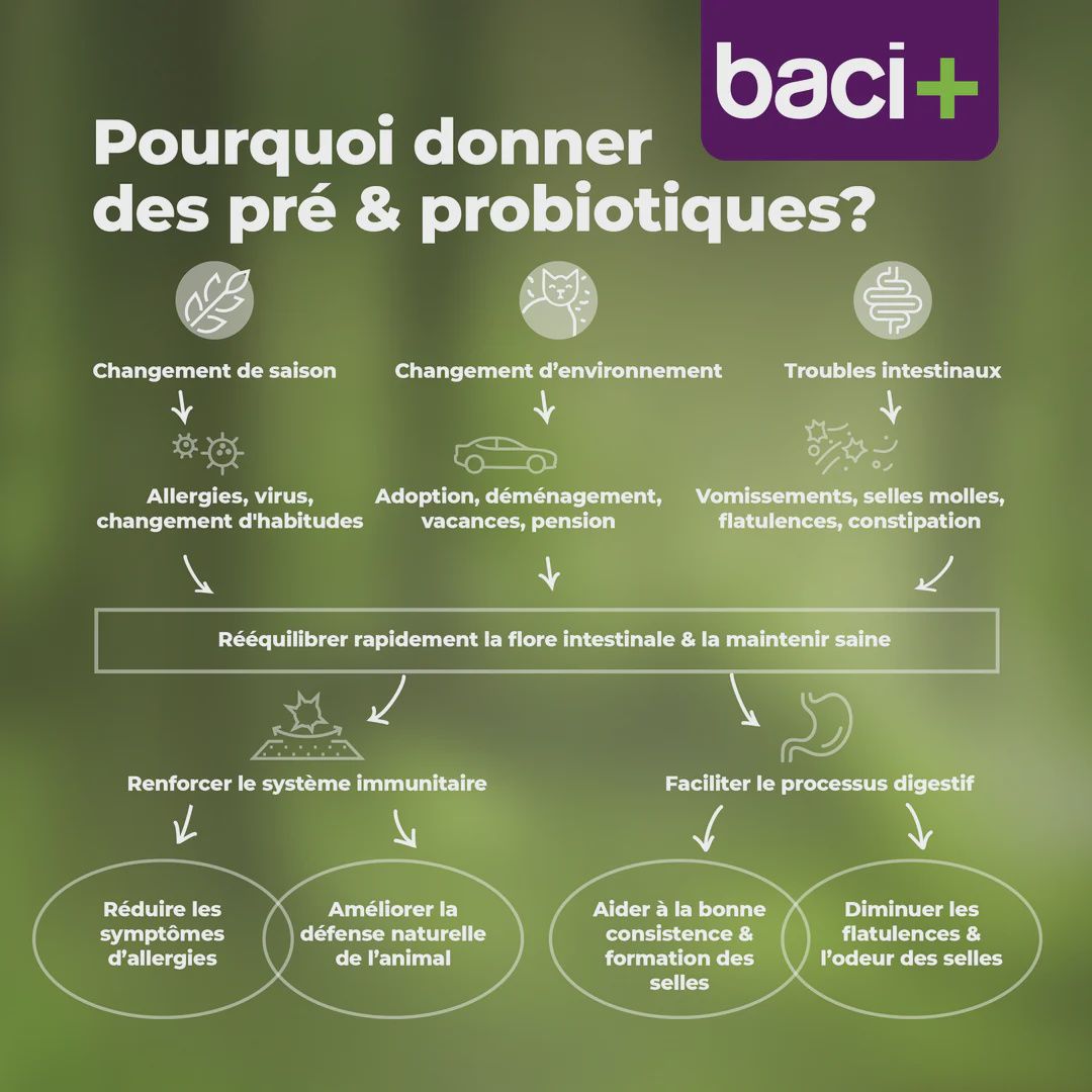 Baci +- Spring Immunity Boost Pre and Probiotics