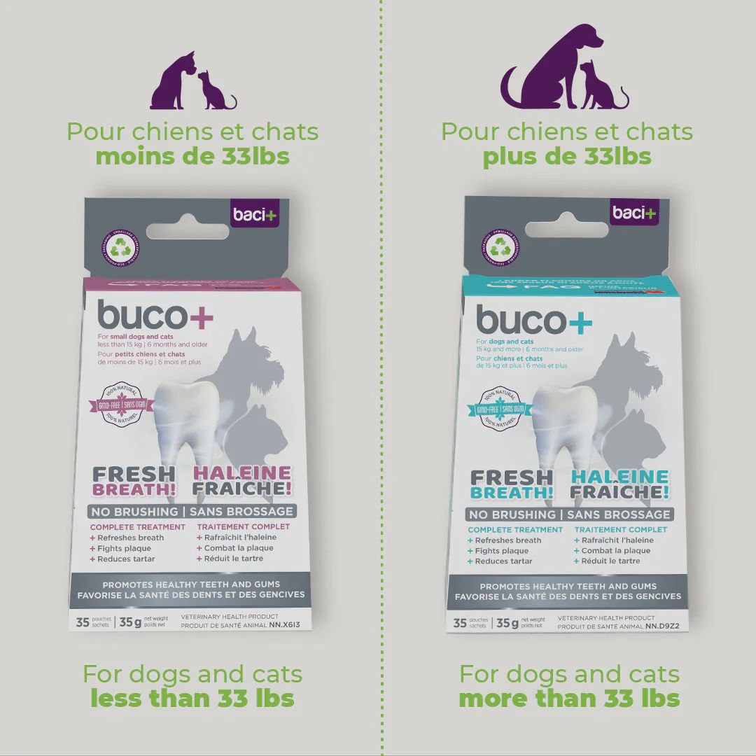 Baci +- Buco+ for dogs over 33lbs, Complete Treatment