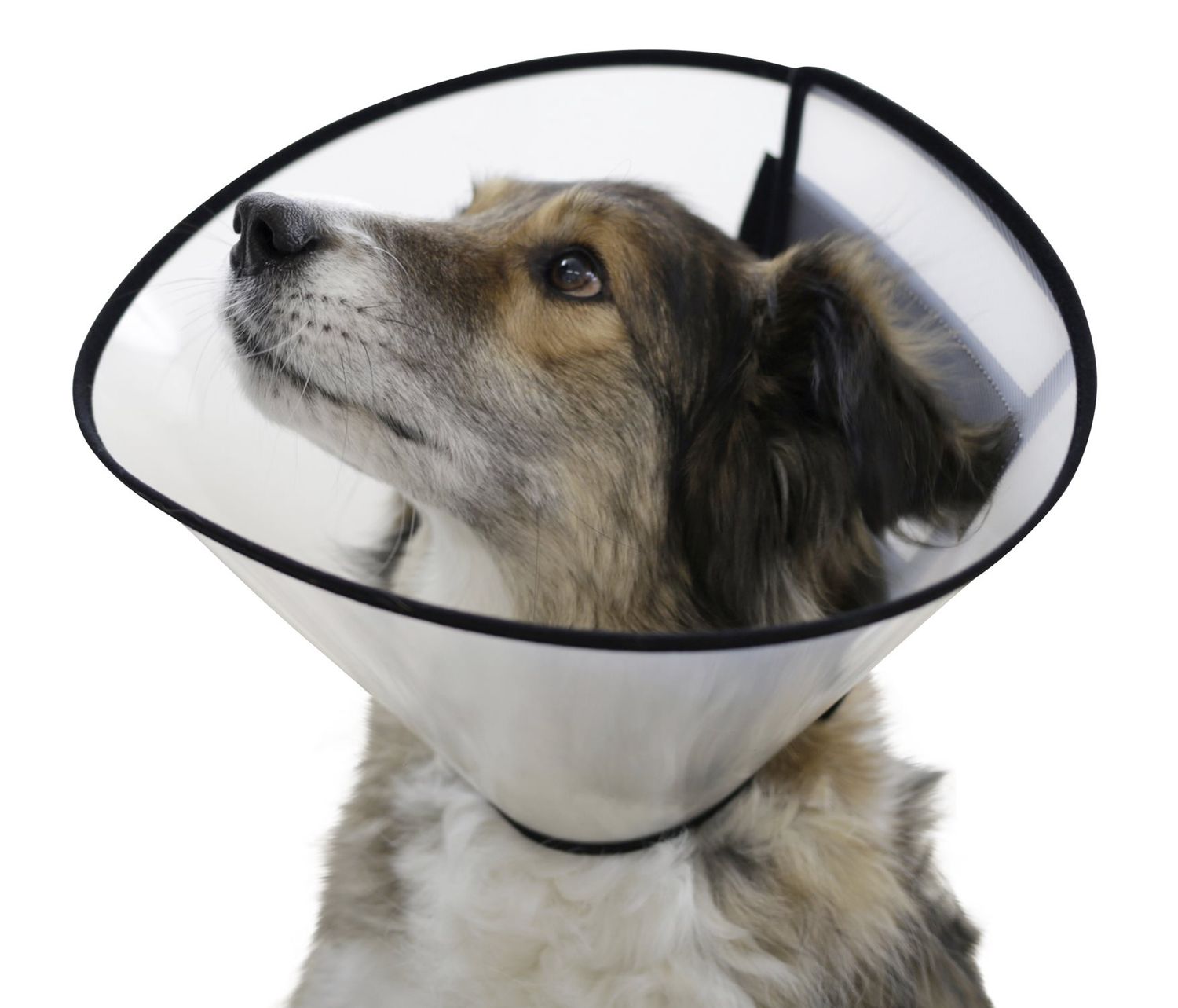 Kerbl - Elizabeth Collar, Velcro Post-Surgery, taille: 7.5cm