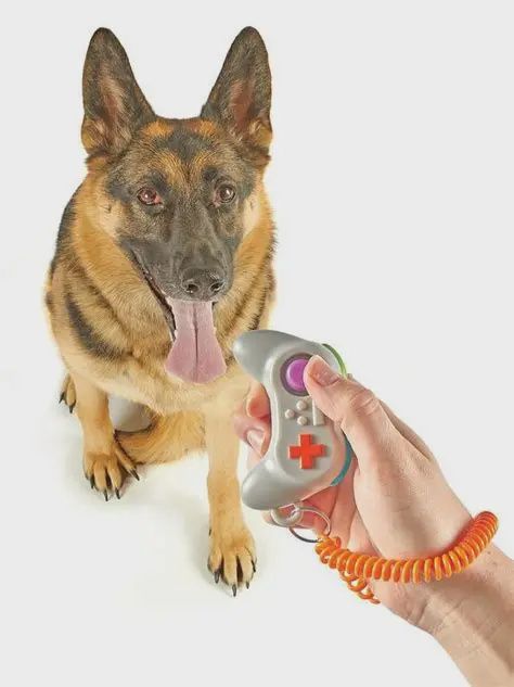 Brightkins - Dog Training Clicker