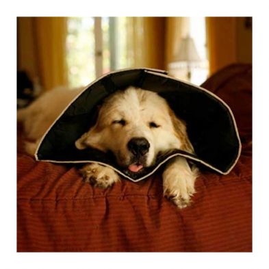 The Comfy Cone- Cône après chururgie souple en tissu noir, taille: Petit long