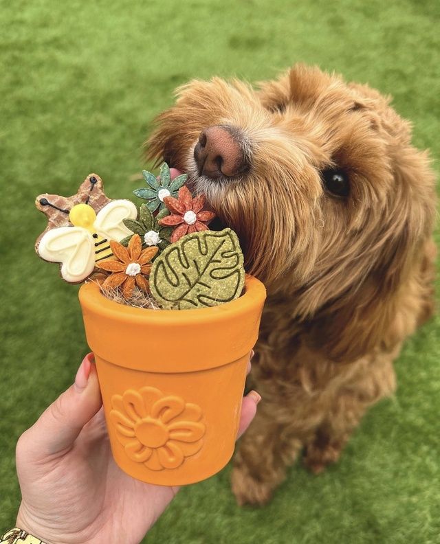 SodaPup - pot de fleur