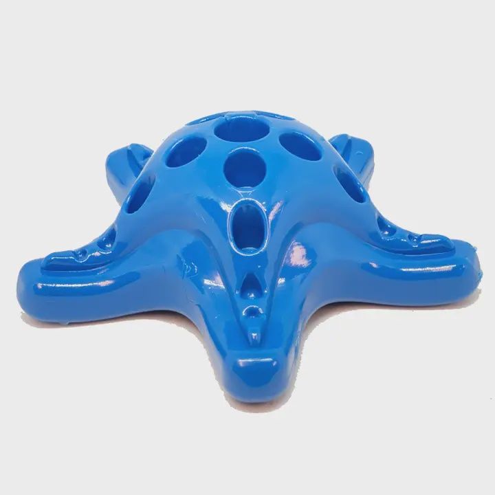 SodaPup - étoile de mer