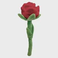 FouFit - florals - plush roses