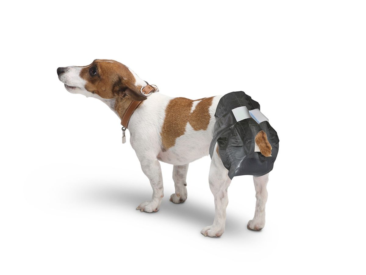 Savic - Couche comfort 12 unités