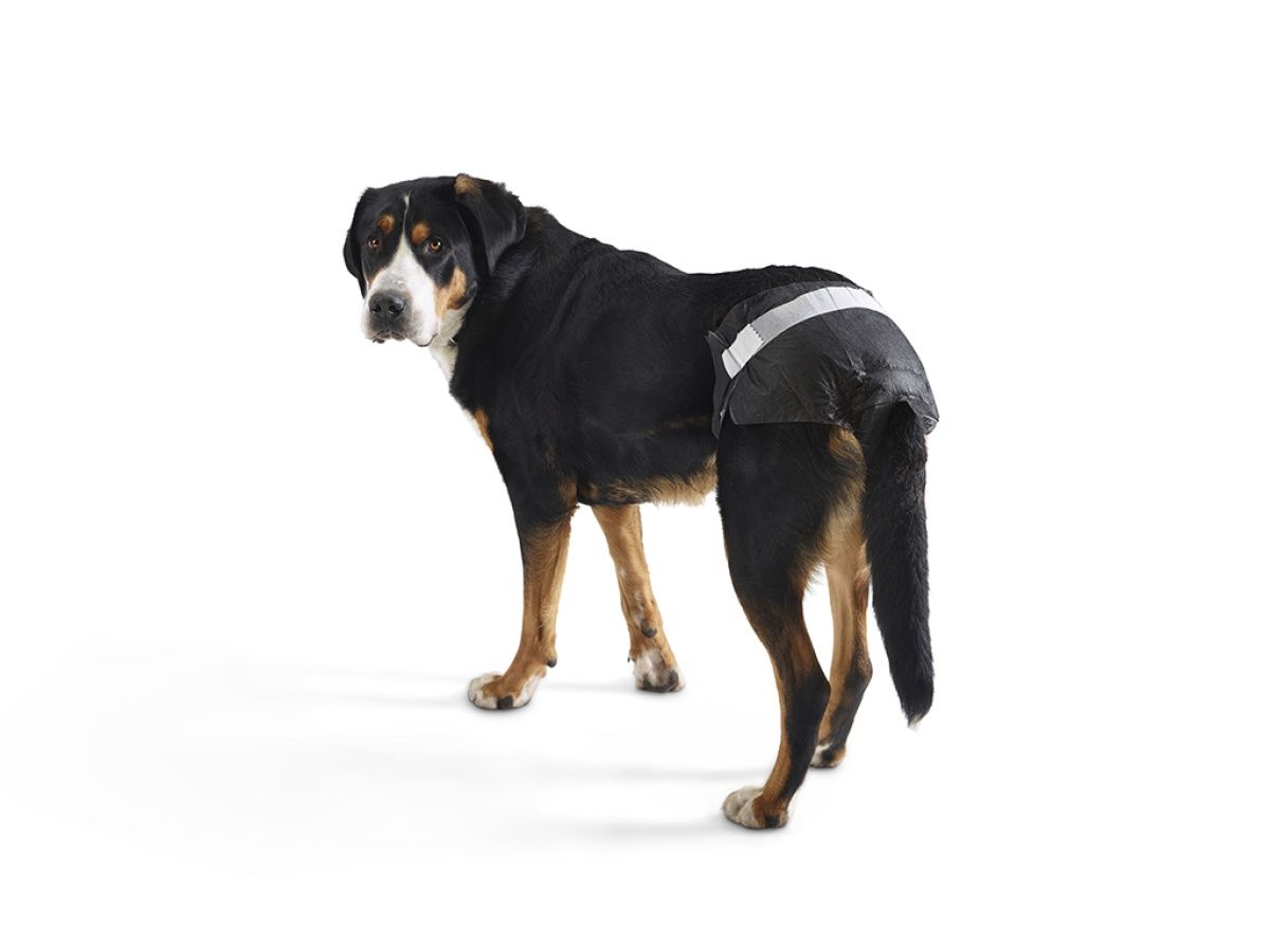 Savic - Couche comfort 12 unités