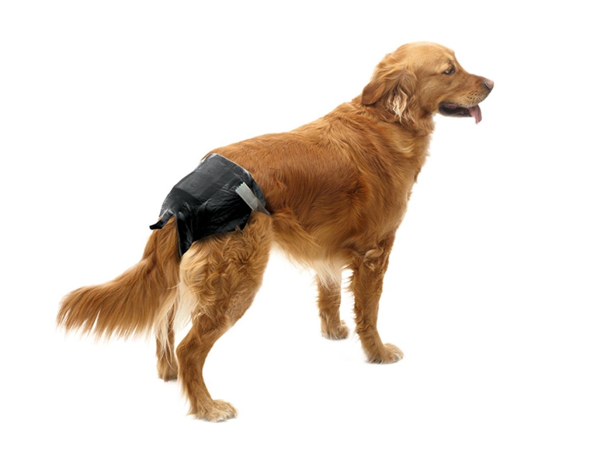 Savic - Couche comfort 12 unités