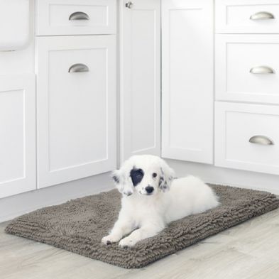 Dog Gone Smart - Dirty Dog Cushion