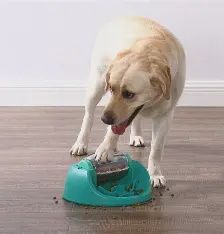 Outward Hound - Nina ottosson Casse tête ''Dog Spin N' Eat''