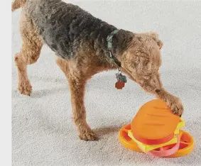 Brightkins - Puzzle for Dogs, Pupstrami Surprise