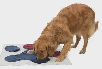 Trixie - Tapis de fouille, Stratégie-Spiel