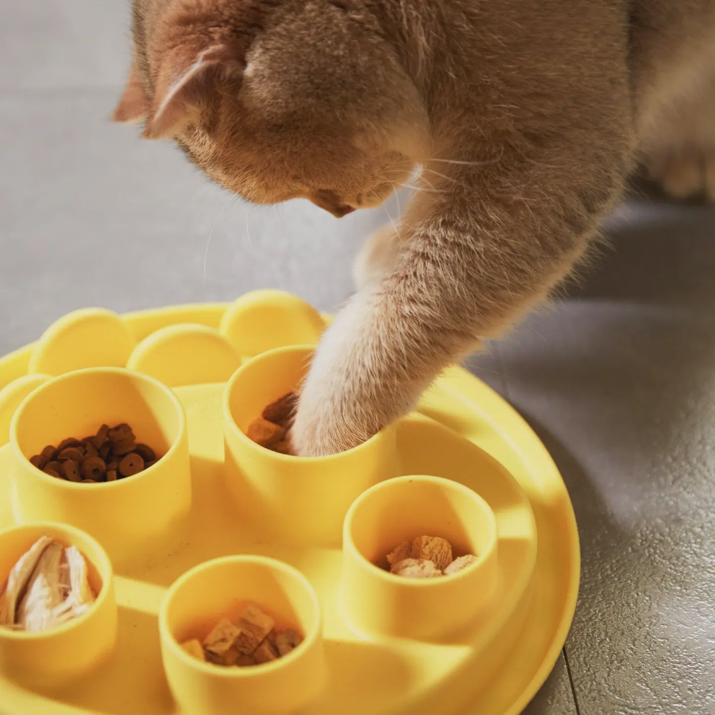 Feeder puzzle- Puzzle Digger feeding bowl for cats, interactive cat toys