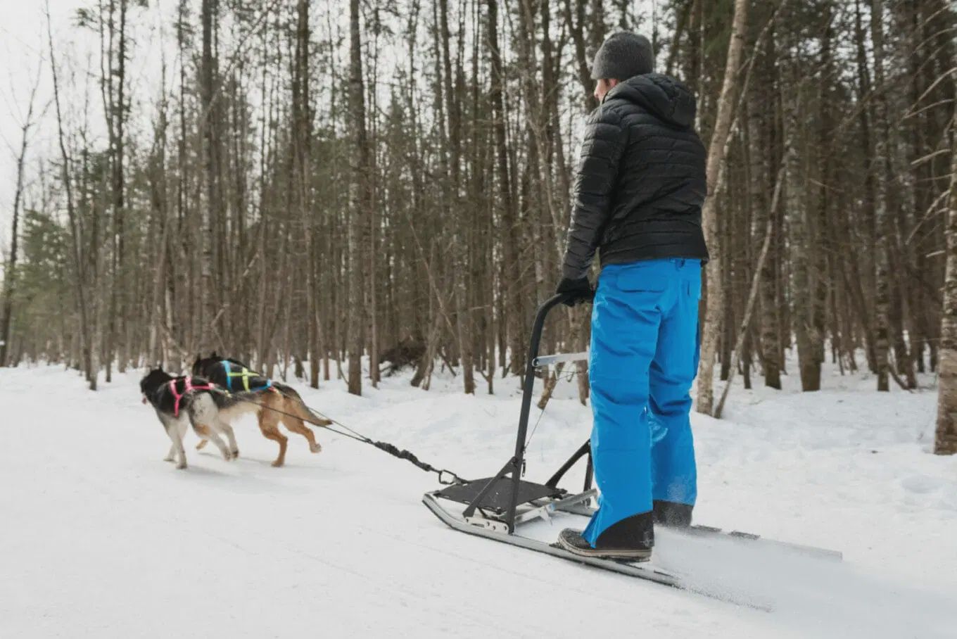 Nahak- Trotinette Omega avec tapis