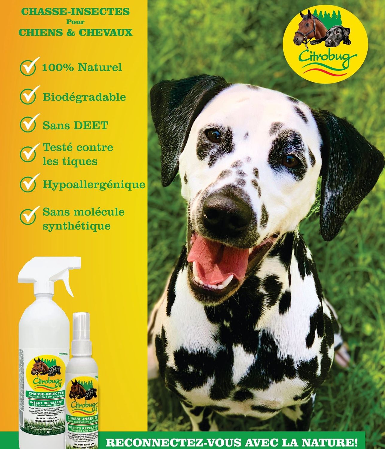 Citrobug - Mosquito Repellent Spray