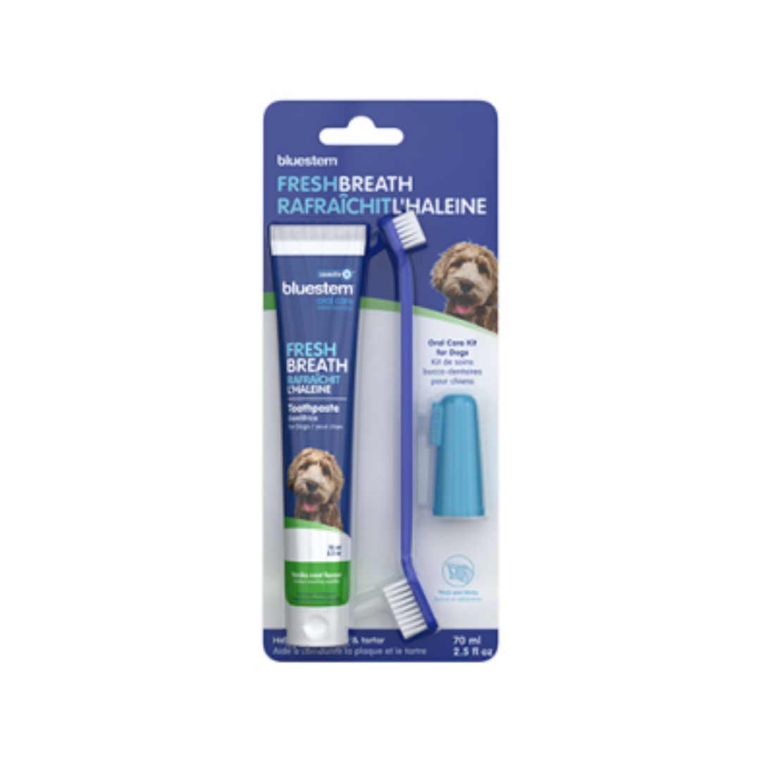 Bluestem - Toothbrush &amp; Toothpaste Set, Mint Flavor for Dogs 70g