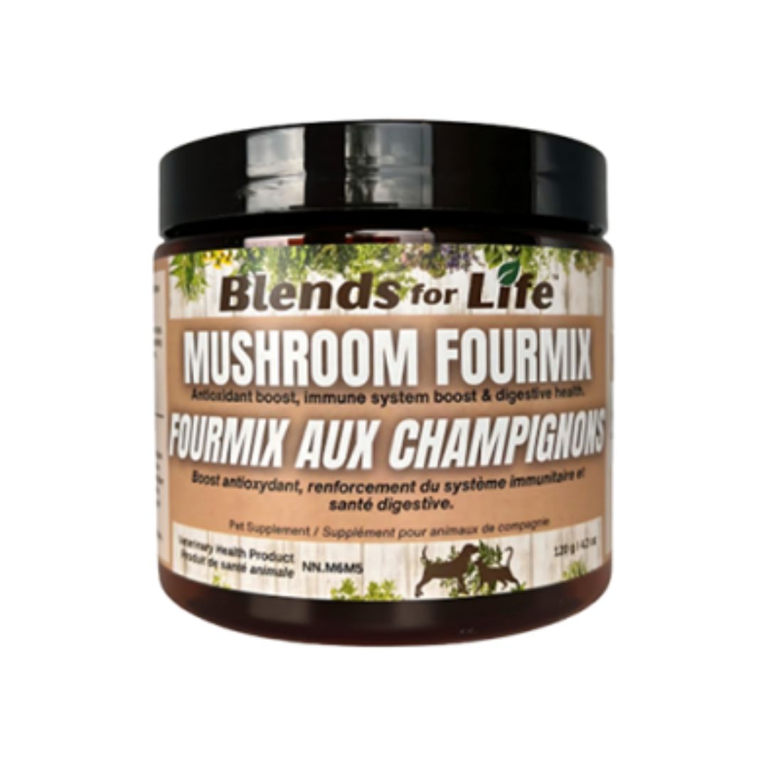 Blends for Life - Supermix Mushroom 100g