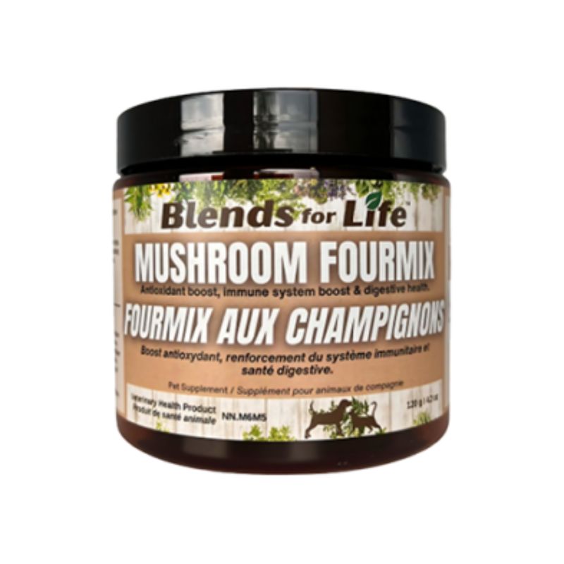 Blends for Life - Supermix Mushroom 100g