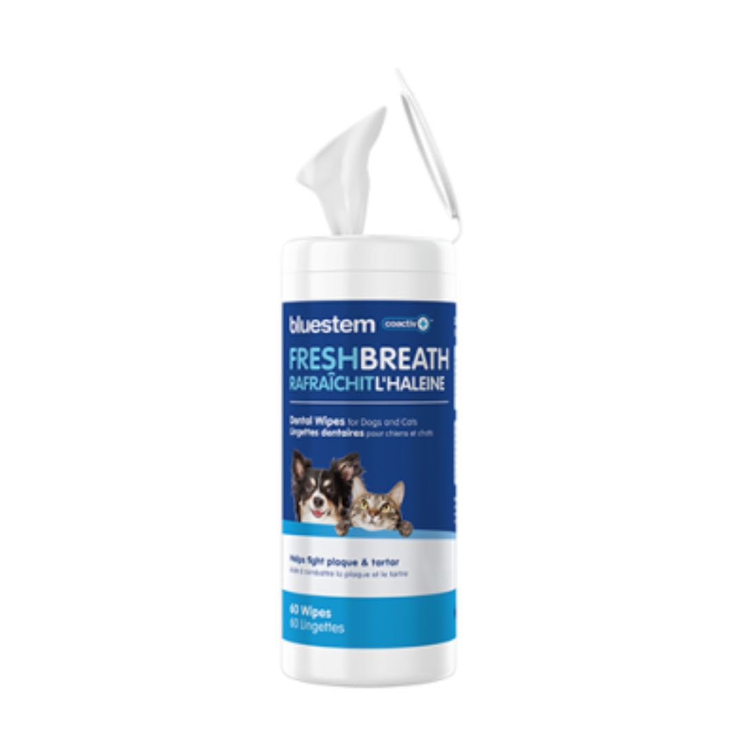 Bluestem- Dental Wipes for Pets 60 Units