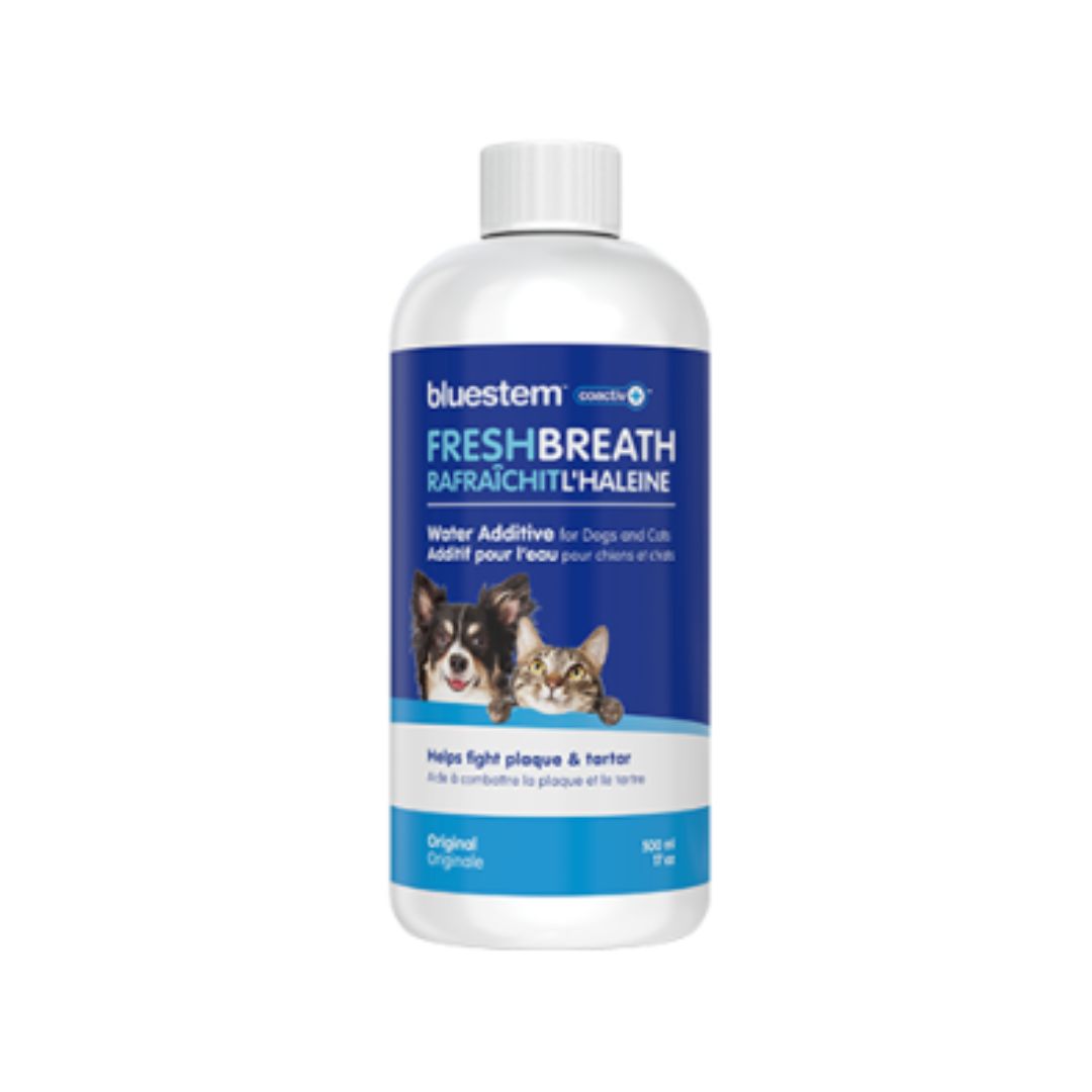 Bluestem - Dental Liquid for Dogs &amp; Cats, Water Additive