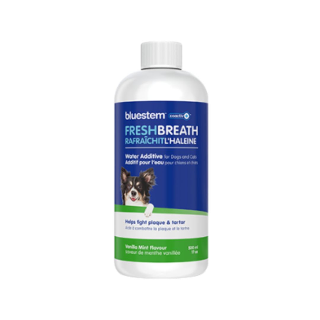Bluestem - Dental Liquid for Dogs &amp; Cats, Water Additive