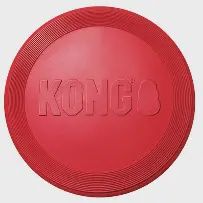 Kong - Flyer