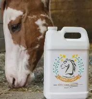 Smart Earth- Huile de cameline 16 oz