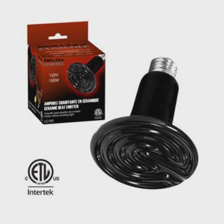Ranch Cunicole- Ampoule chauffante en céramique (sans lumière), types: 250w
